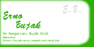 erno bujak business card